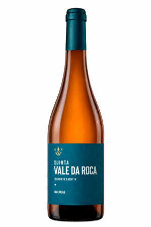 Malvasia 2024