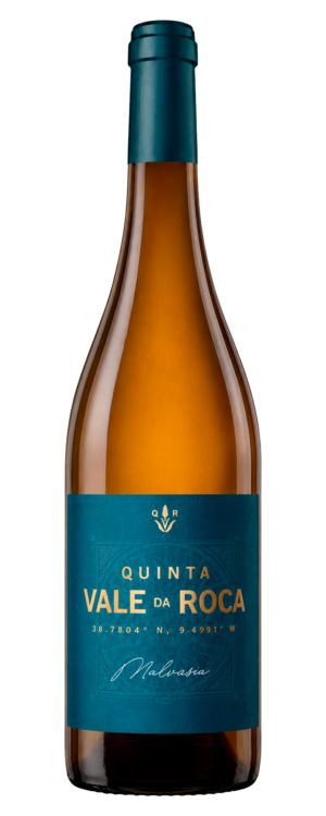 Malvasia 2023